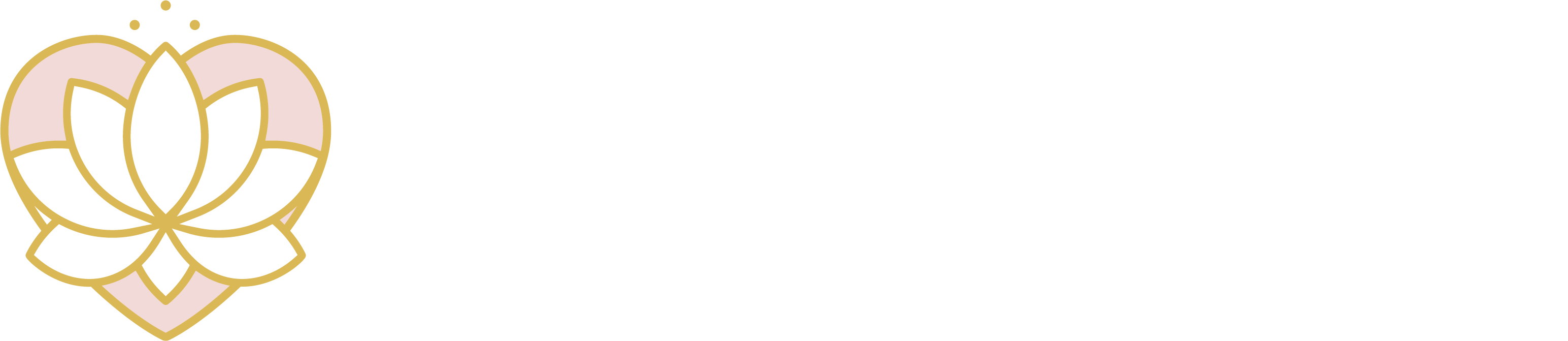 Logo Rosana Noce